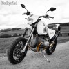 Auspuffanlage SGS2-2M BMW Motorrad R 2-V  R 100 R - GS