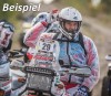 Barkbusters Handschutz VPS BMW F 800 GS ab 2008 silber