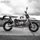 Auspuffanlage SGS2-1M für BMW Motorrad R 2-V  R 80 R - GS