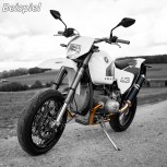 Auspuffanlage SGS2-1M für BMW Motorrad R 2-V  R 80 R - GS